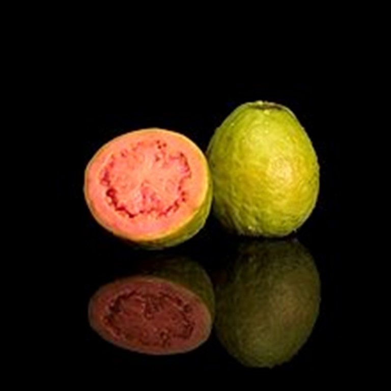 Guayaba - Psidium guajava